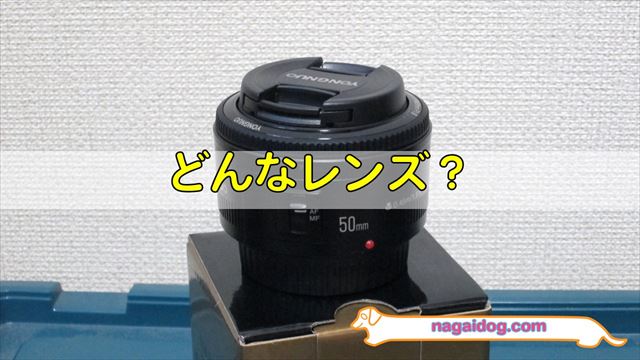 ヨンヌオ YN50mm F1.8 キヤノン用