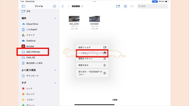 SSD側専用フォルダでペーストする