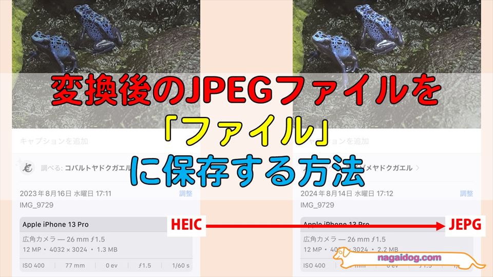 ファイルにJPEGファイルを保存する方法