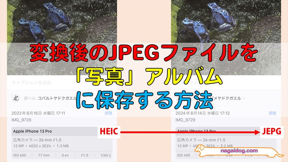 写真アルバムにJPEGを保存する方法